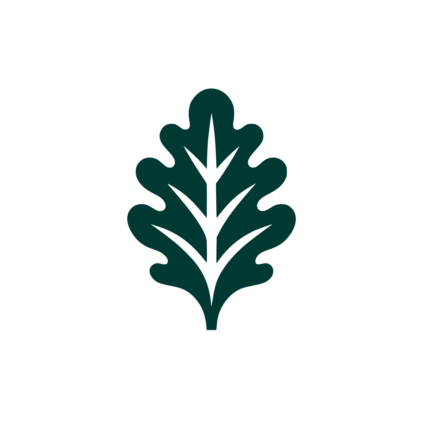 Leaf Logo Design #003932