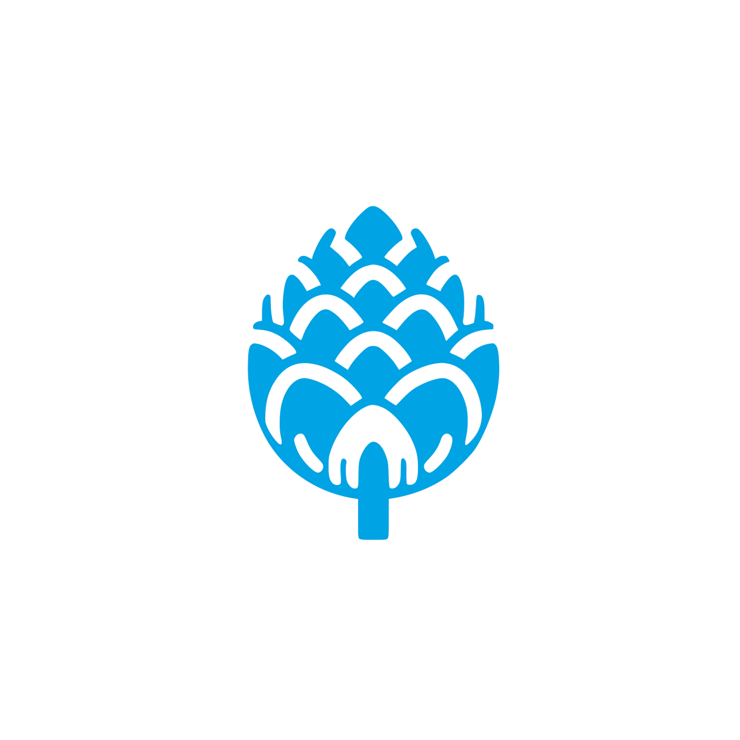 Pine Cone Logo #00a3e4
