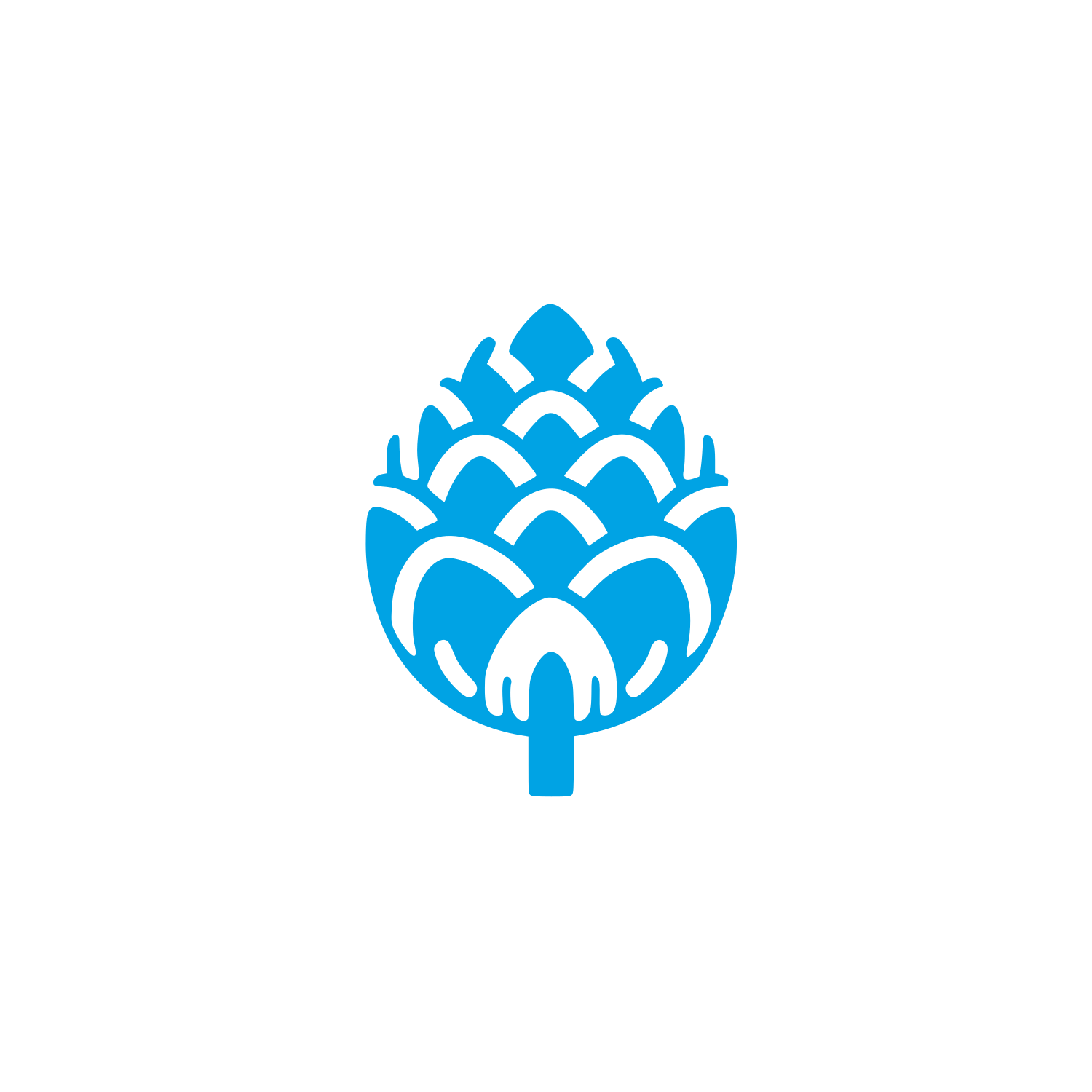 Pine Cone Logo #00a3e4