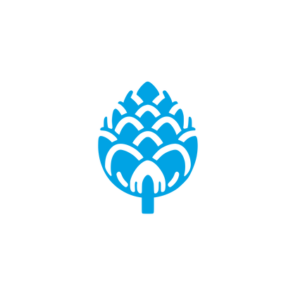 Pine Cone Logo #00a3e4