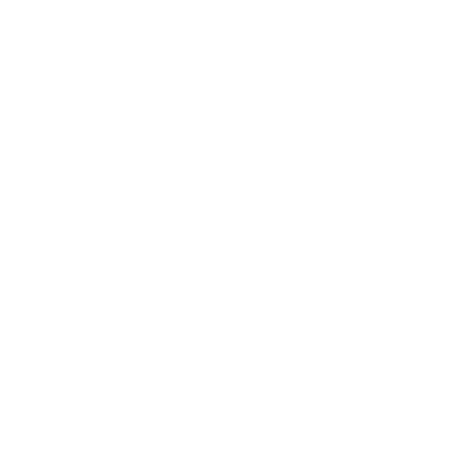Pine Cone Logo #ffffff