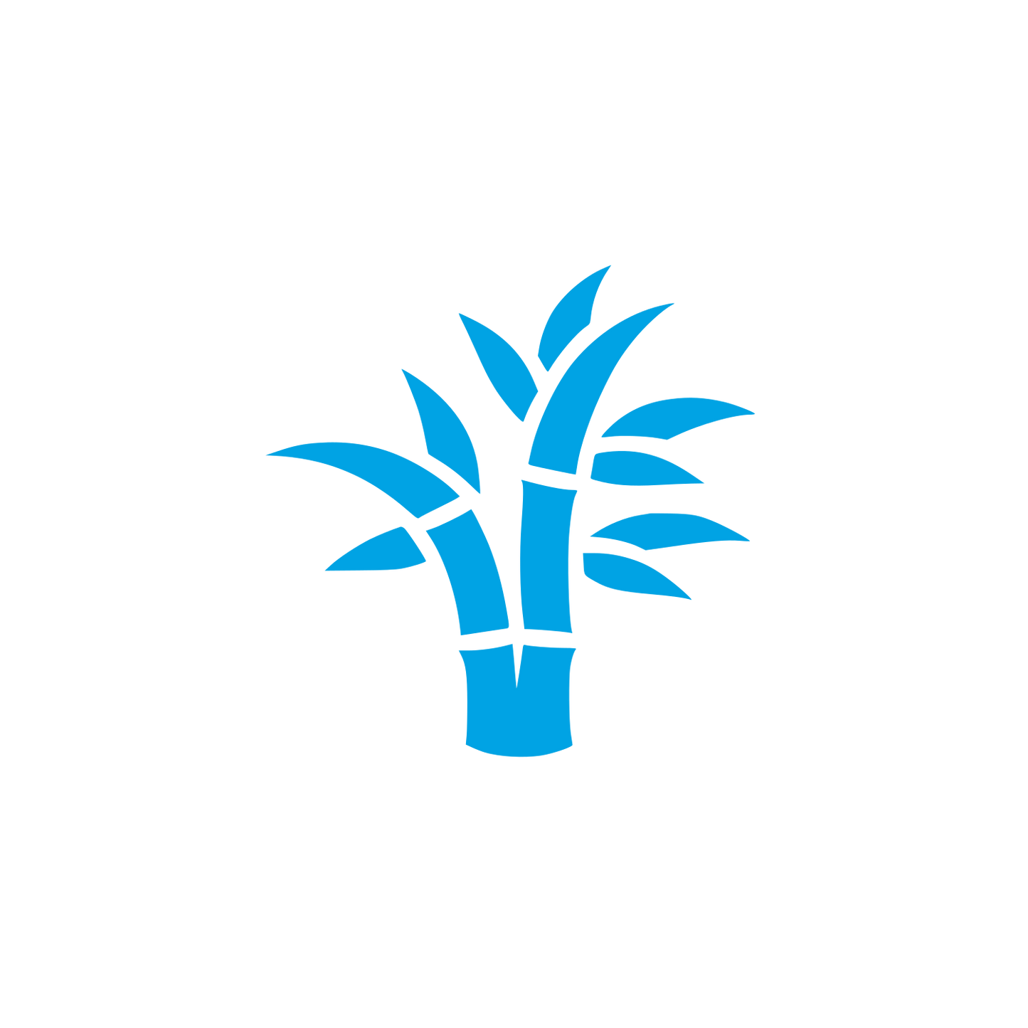 Bamboo Logo Design #00a3e4