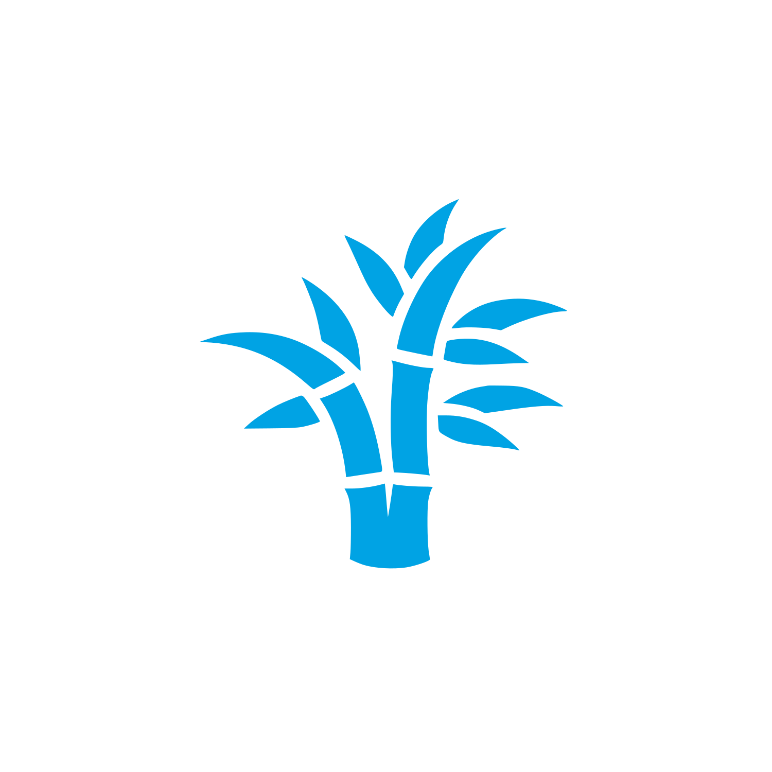 Bamboo Logo Design #00a3e4