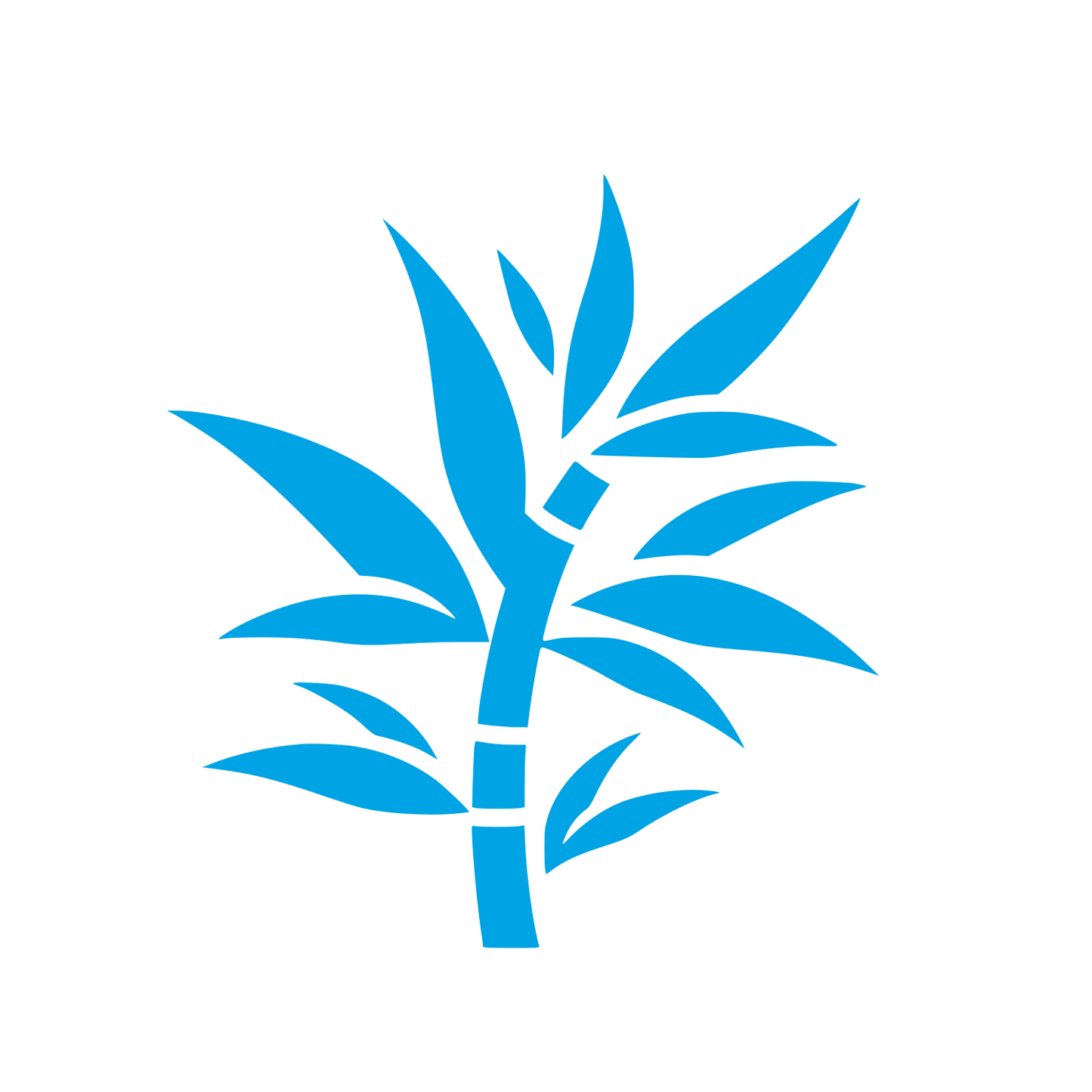 Bamboo Leaf Logo #00a3e4