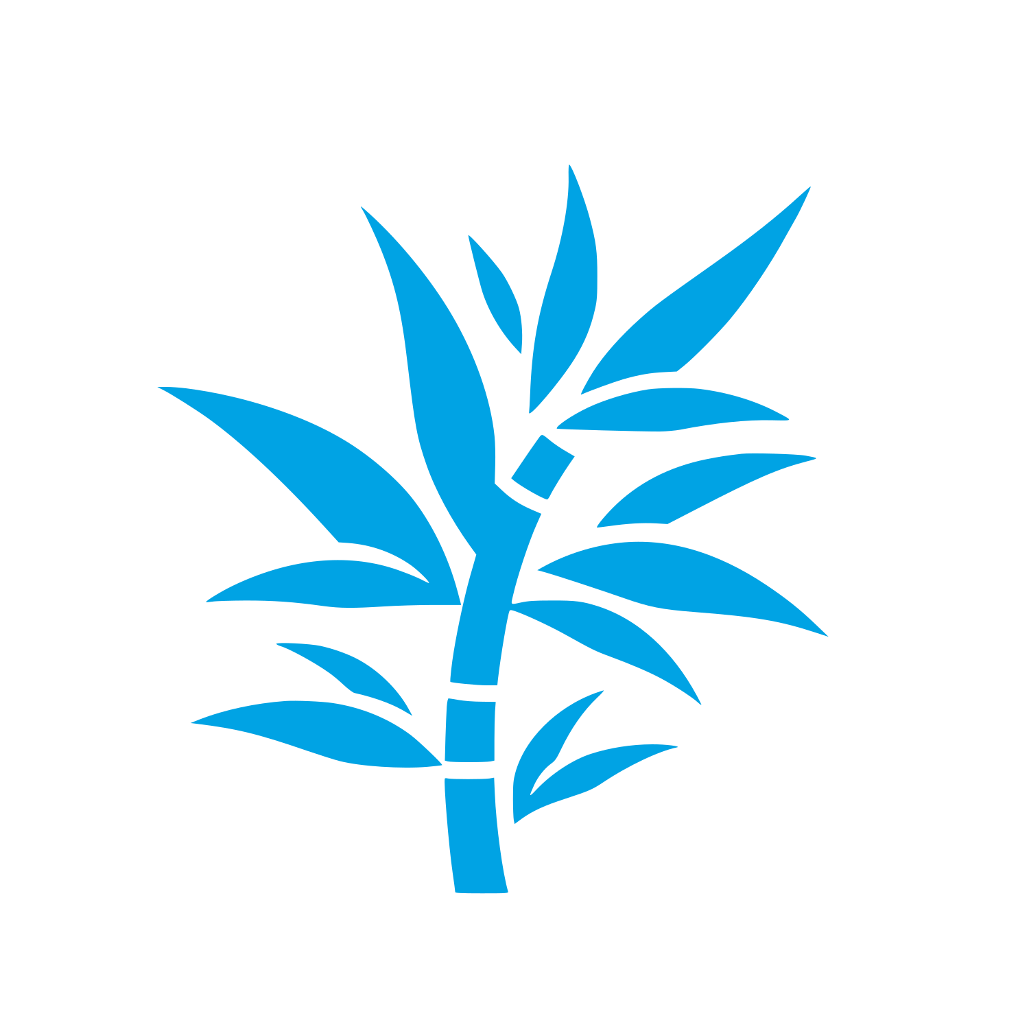 Bamboo Leaf Logo #00a3e4