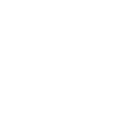 Bamboo Leaf Logo #ffffff