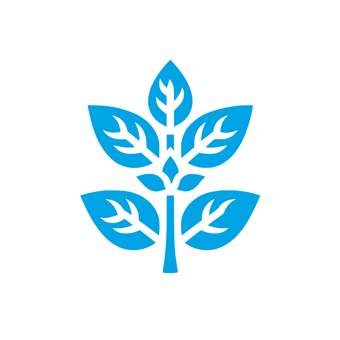 Leafy Tree Logo #00a3e4