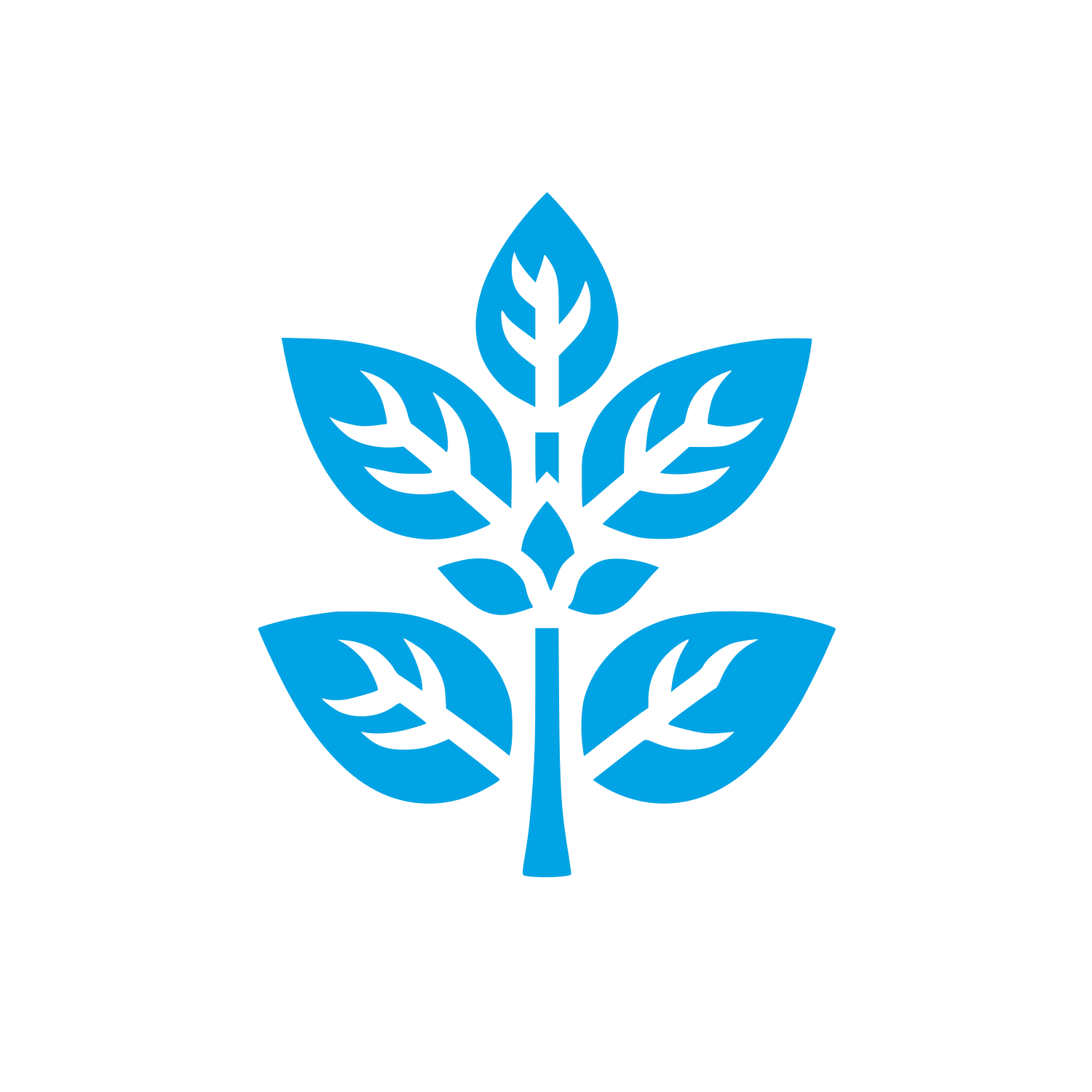 Leafy Tree Logo #00a3e4
