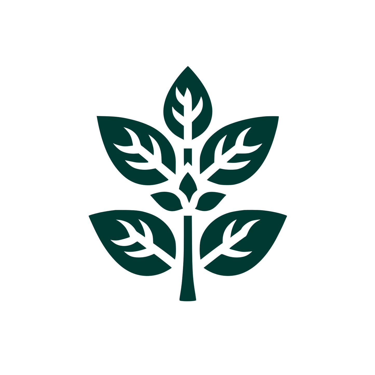 Leafy Tree Logo #003932