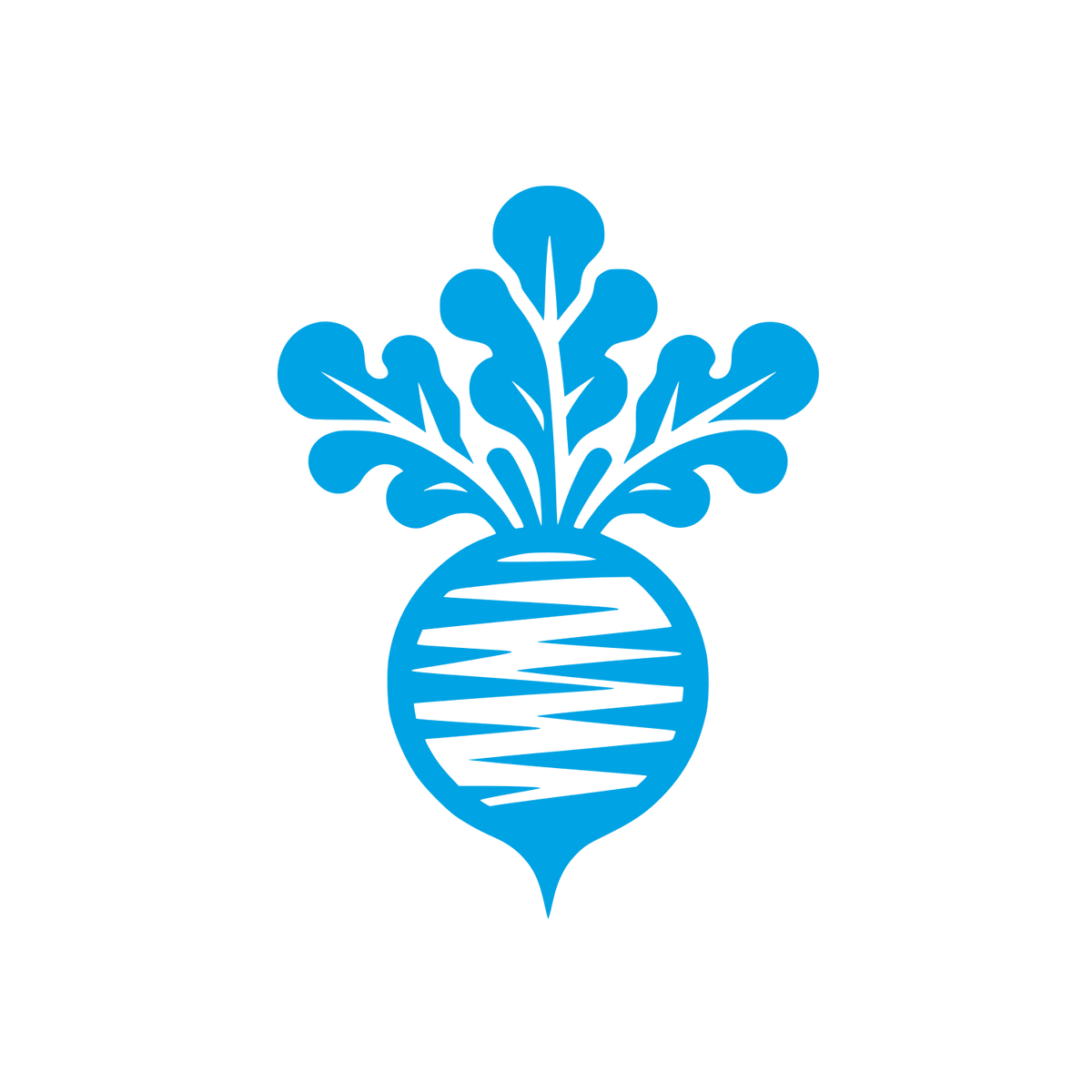 Logo with Radish Design #00a3e4