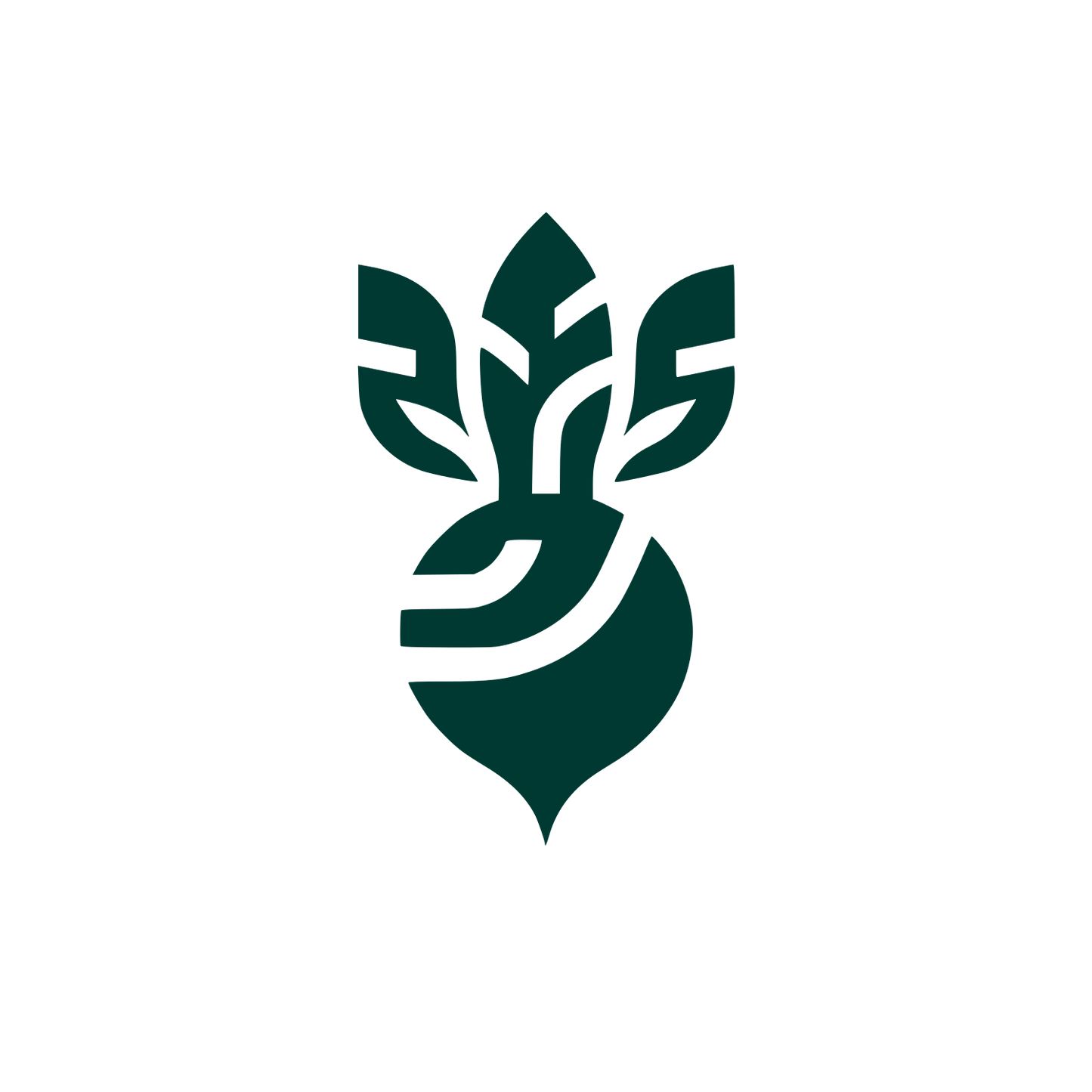 Beet Root Botanic Logo #003932