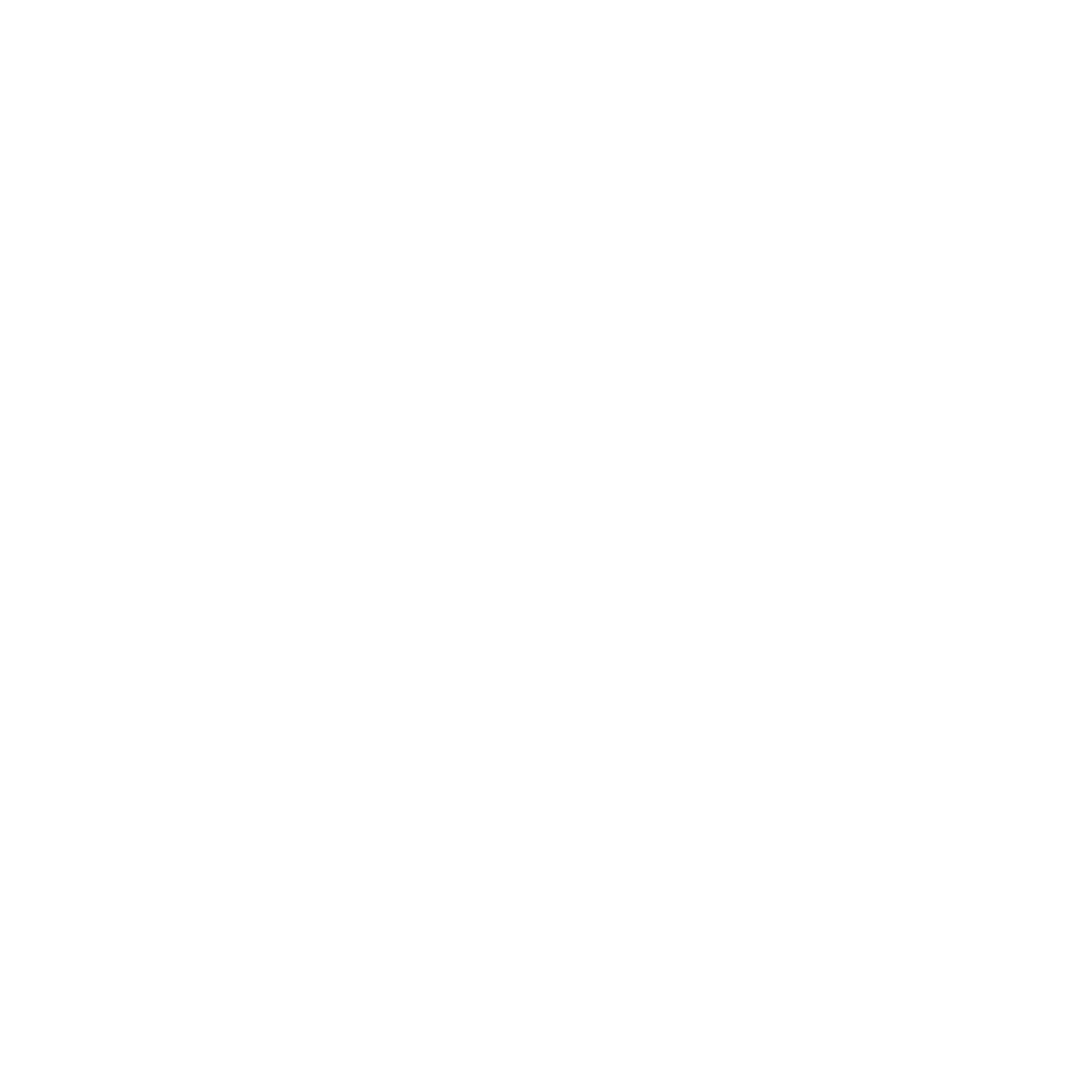 Beetroot Bold Logo #ffffff