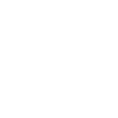 Beetroot Bold Logo #ffffff