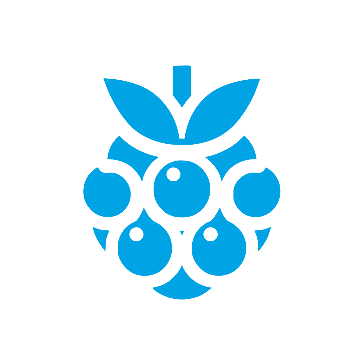 Berry Logo Design #00a3e4