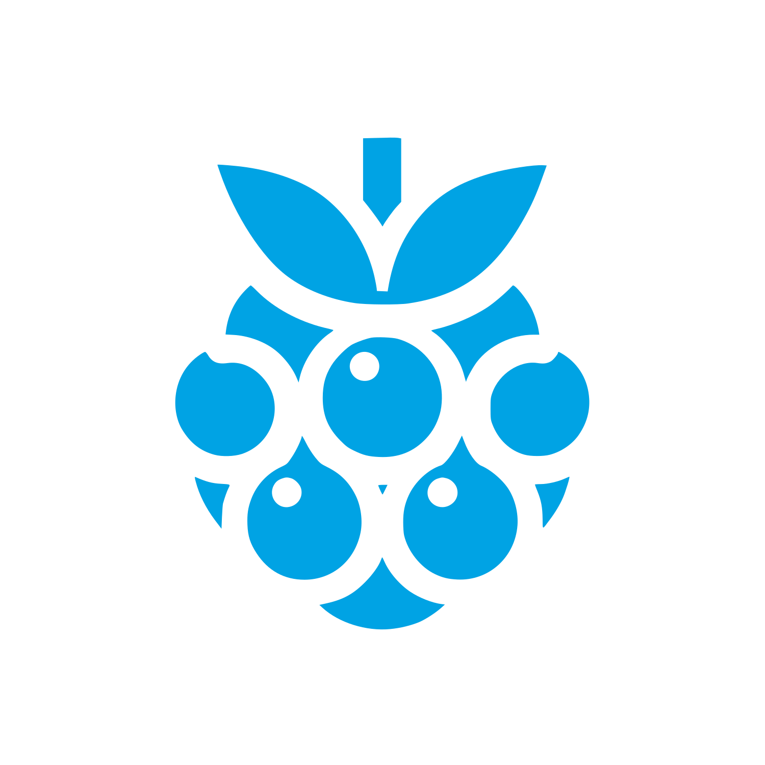 Berry Logo Design #00a3e4