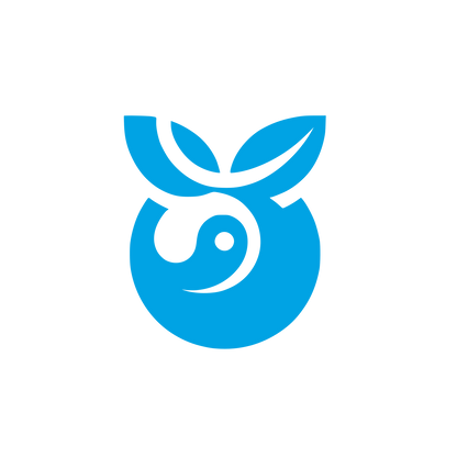 Yin Yang Logo Design #00a3e4