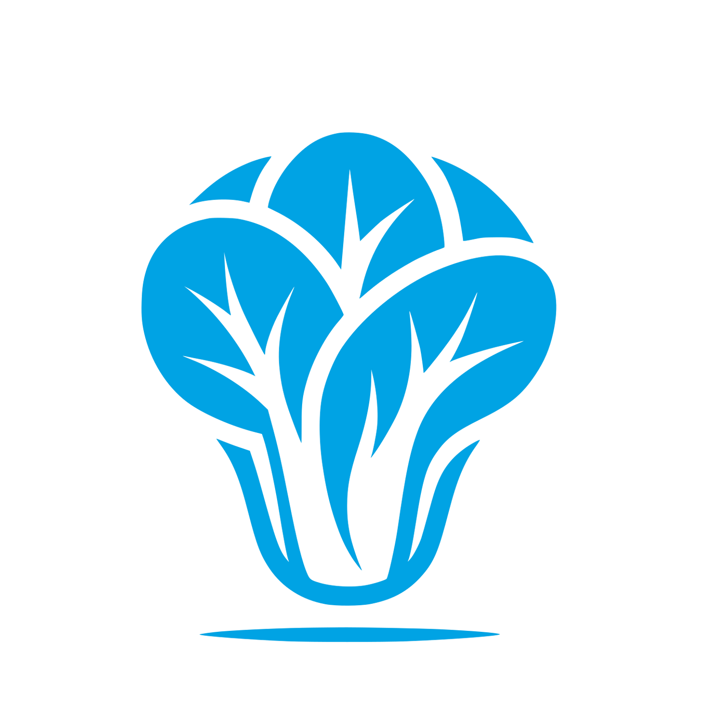 Leafy Green Logo #00a3e4