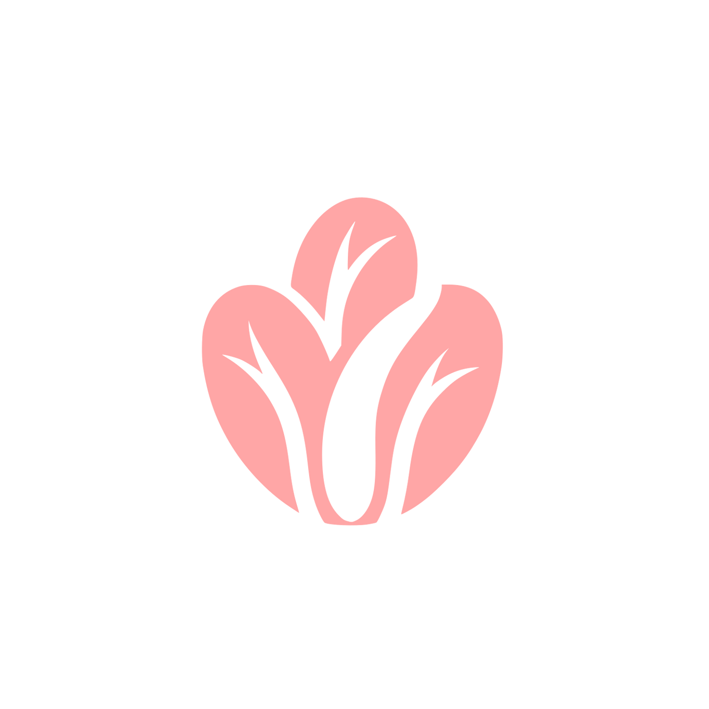 Vegetable Leaf Logo #ffa6a6