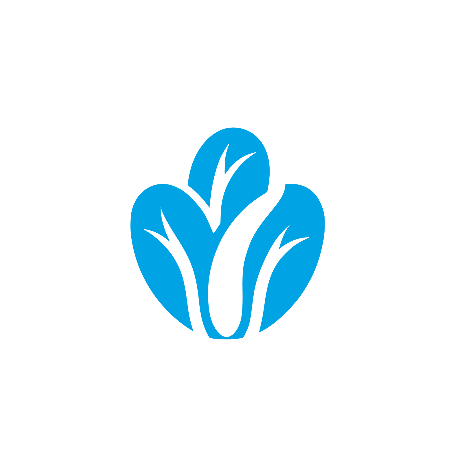Vegetable Leaf Logo #00a3e4