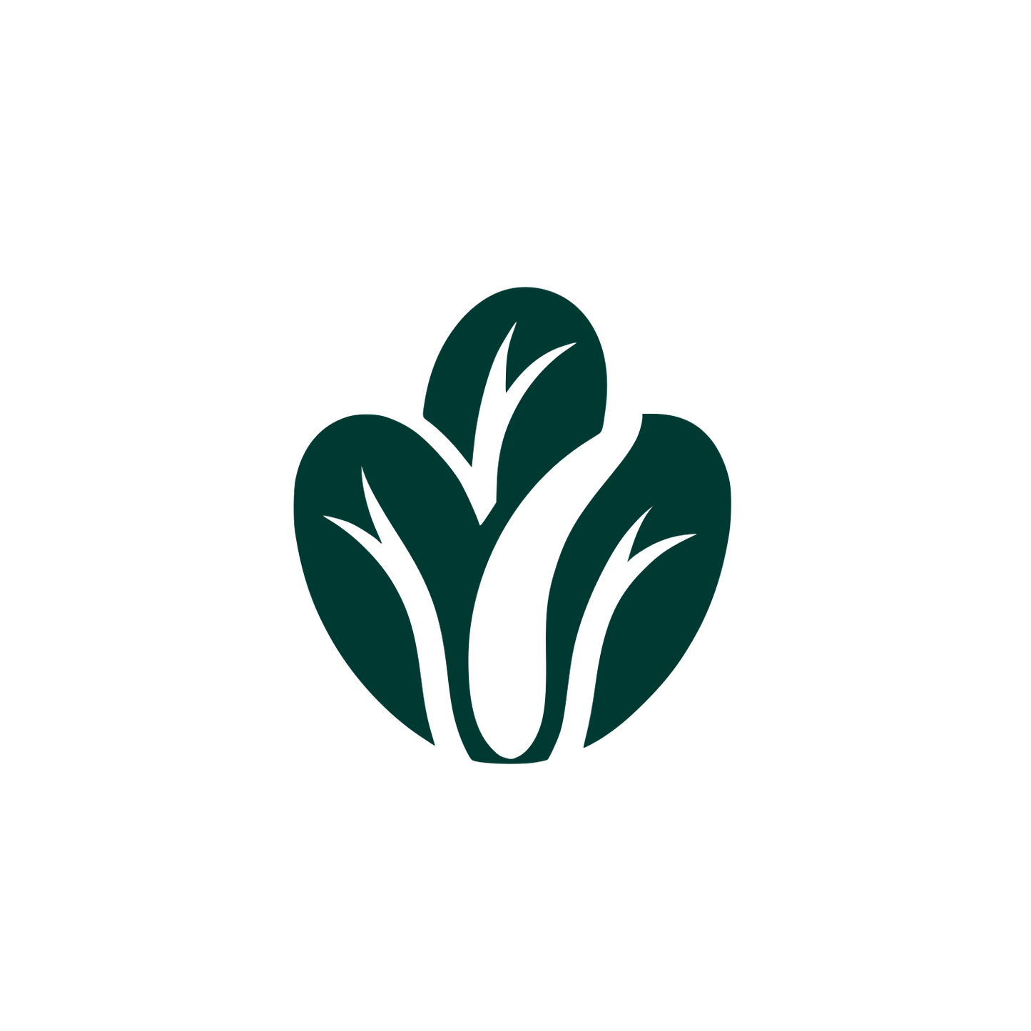 Vegetable Leaf Logo #003932