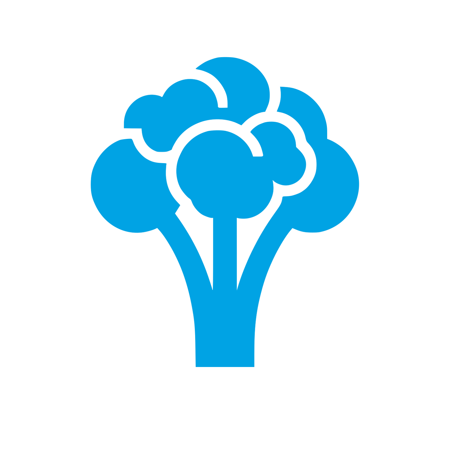 Logo of Broccoli Design #00a3e4