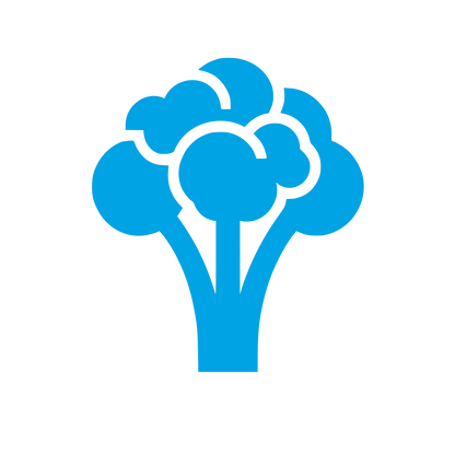 Logo of Broccoli Design #00a3e4