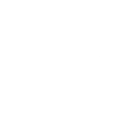 Logo of Broccoli Design #ffffff