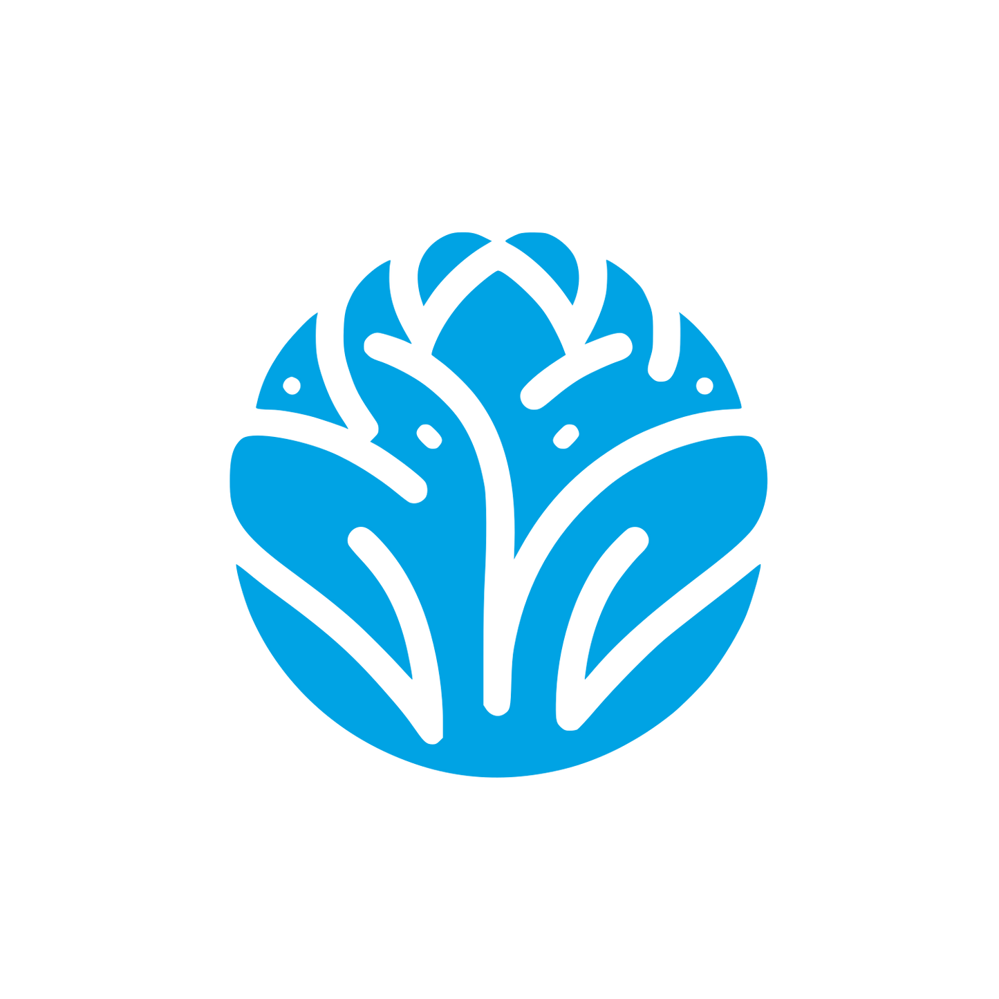 Cabbage Flower Logo #00a3e4