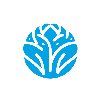 Cabbage Flower Logo #00a3e4