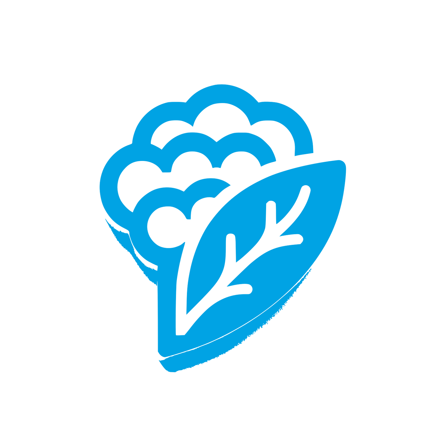 Logo with Leaf Design #00a3e4