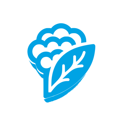 Logo with Leaf Design #00a3e4