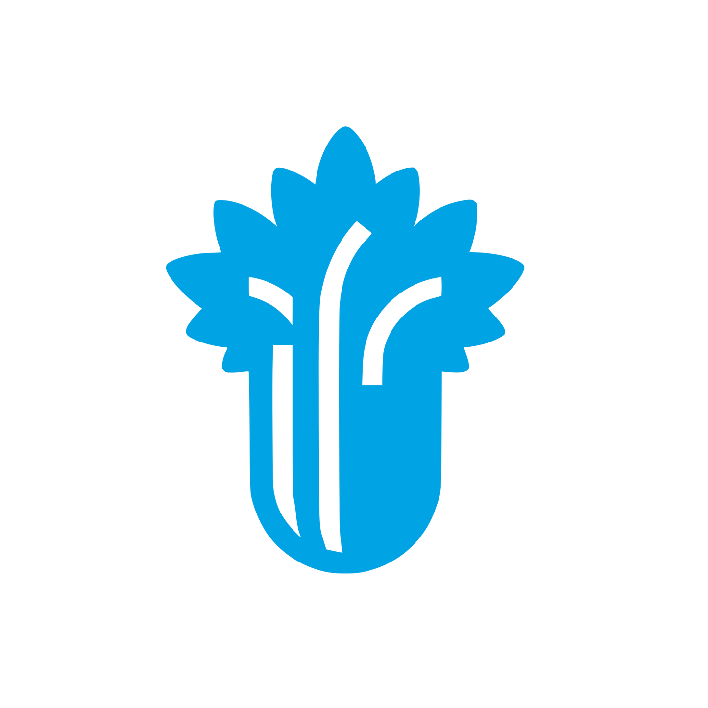 Celery Logo Design #00a3e4