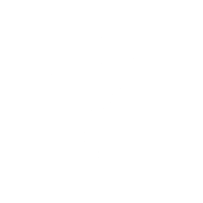 Celery Logo Design #ffffff