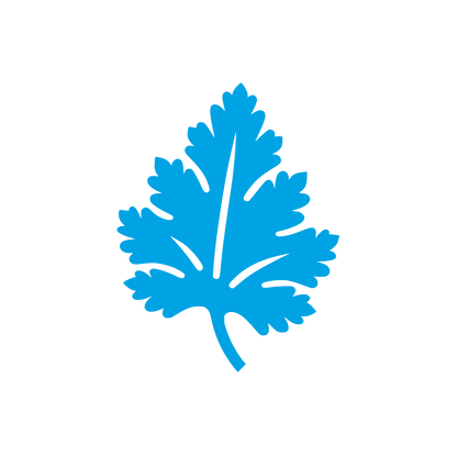 Logo of Leaf Design #00a3e4
