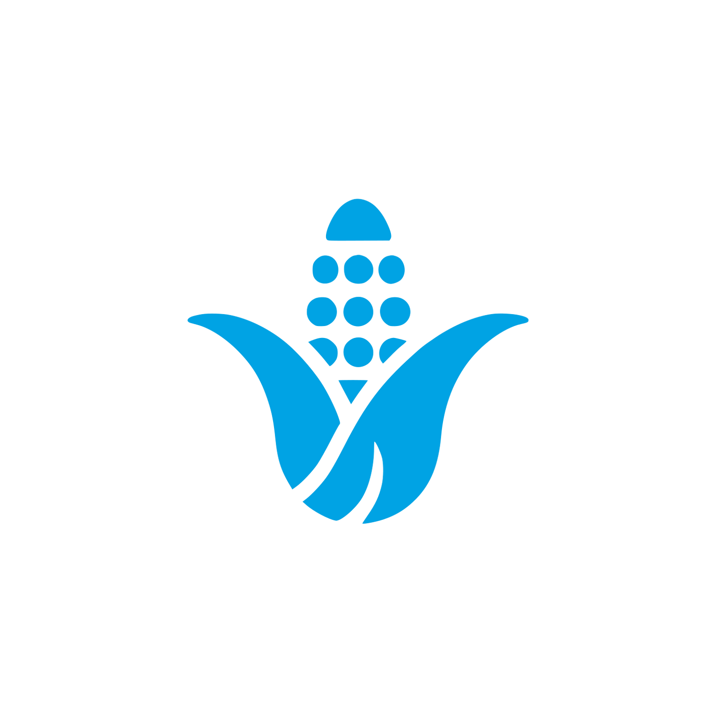 Logo with Corn Design #00a3e4