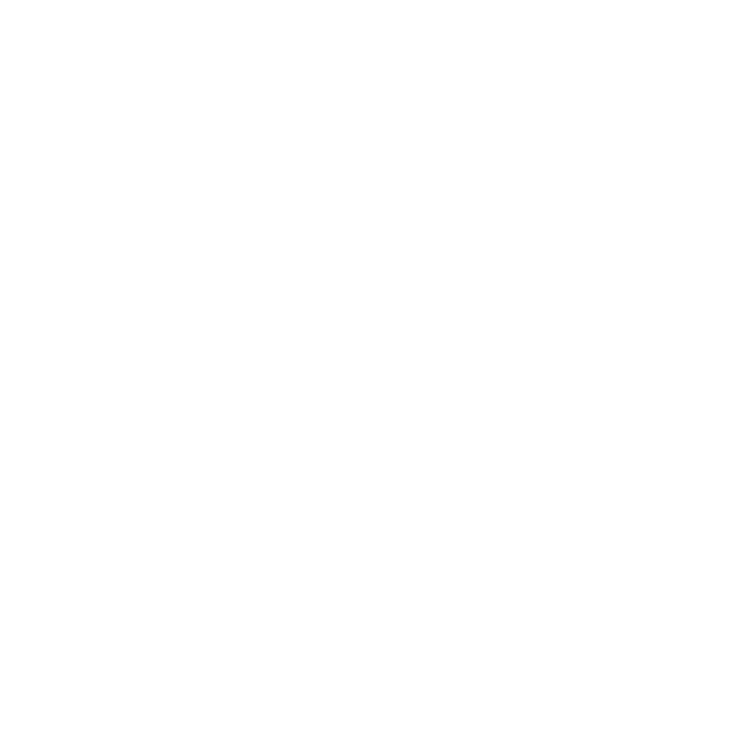 Coconut Bold Logo #ffffff