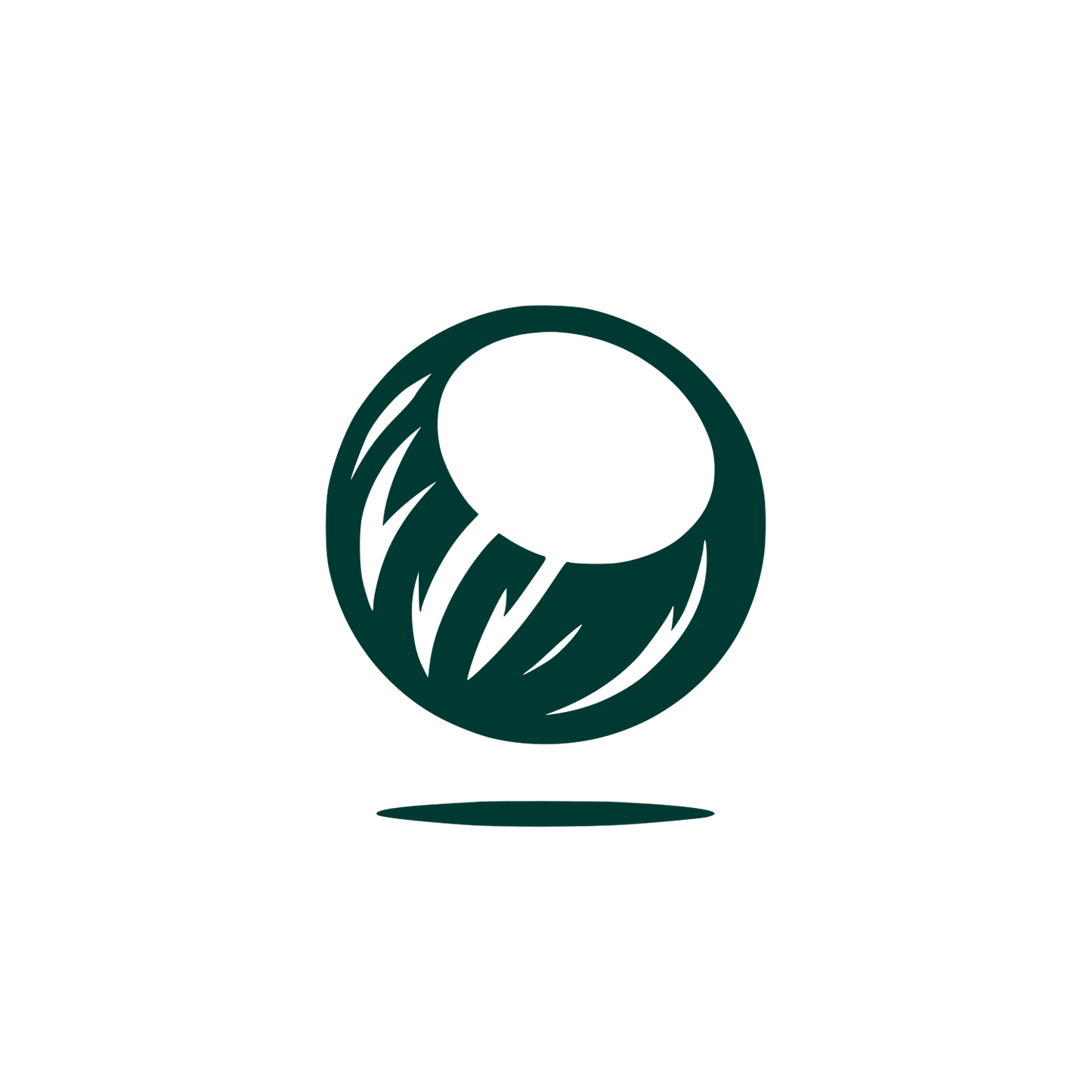 Coconut Bold Logo #003932