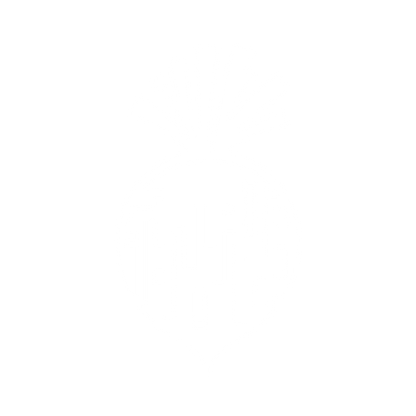 Daikon Radish Logo #ffffff
