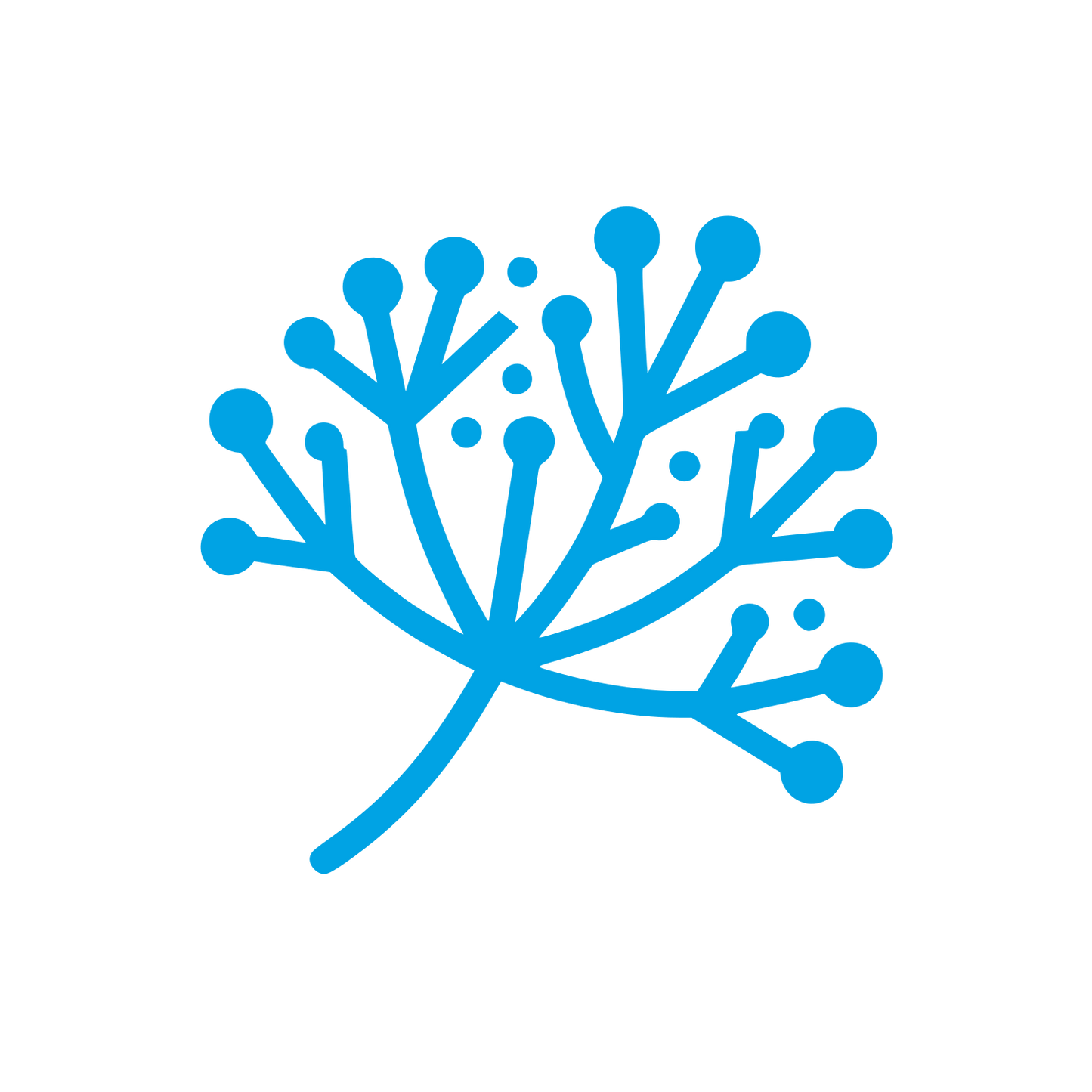 Logo with Branch Design #00a3e4