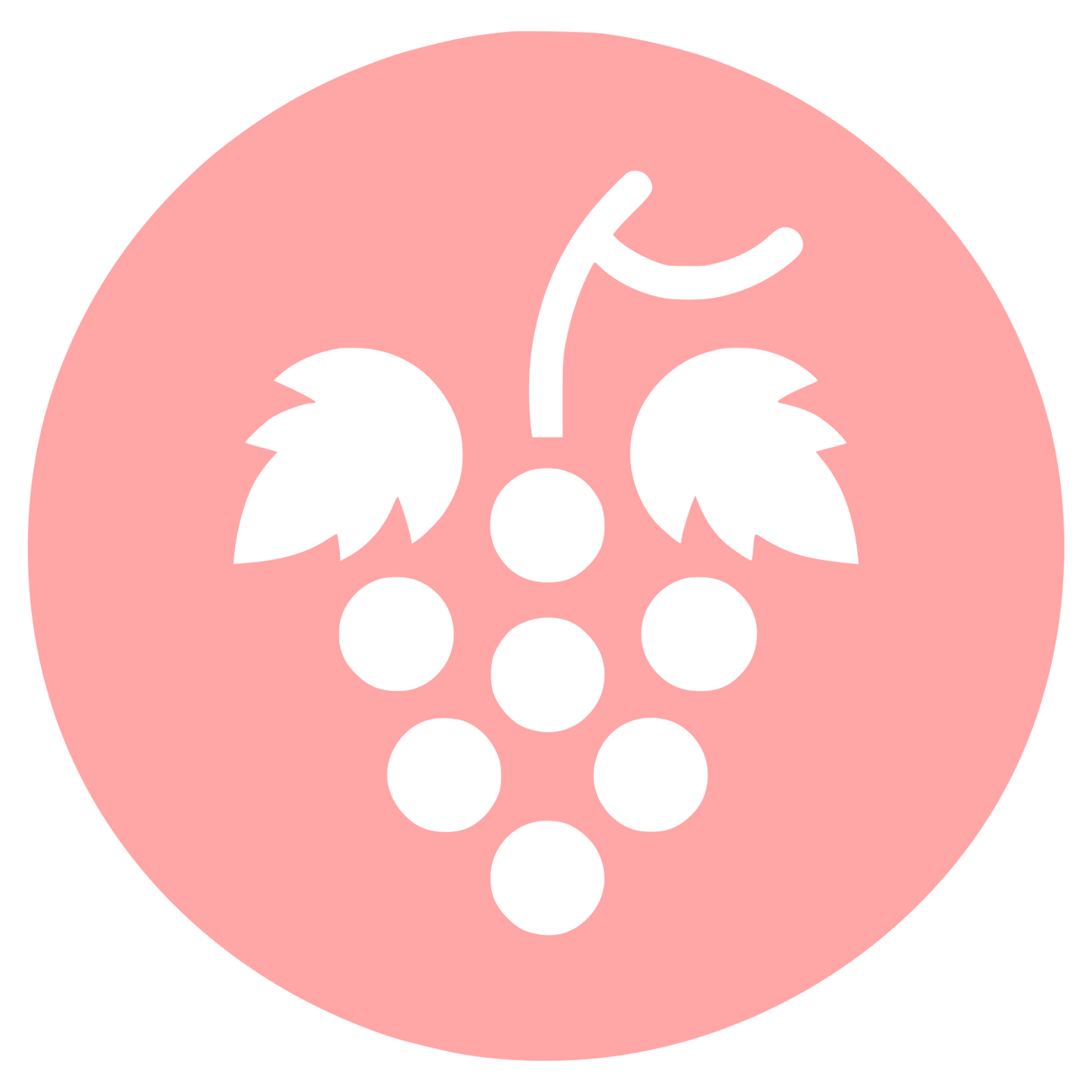 Grape Cluster Logo #ffa6a6