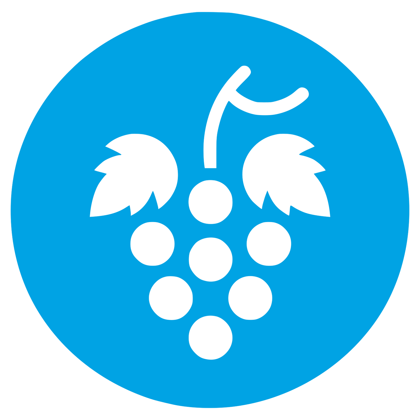 Grape Cluster Logo #00a3e4