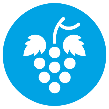 Grape Cluster Logo #00a3e4