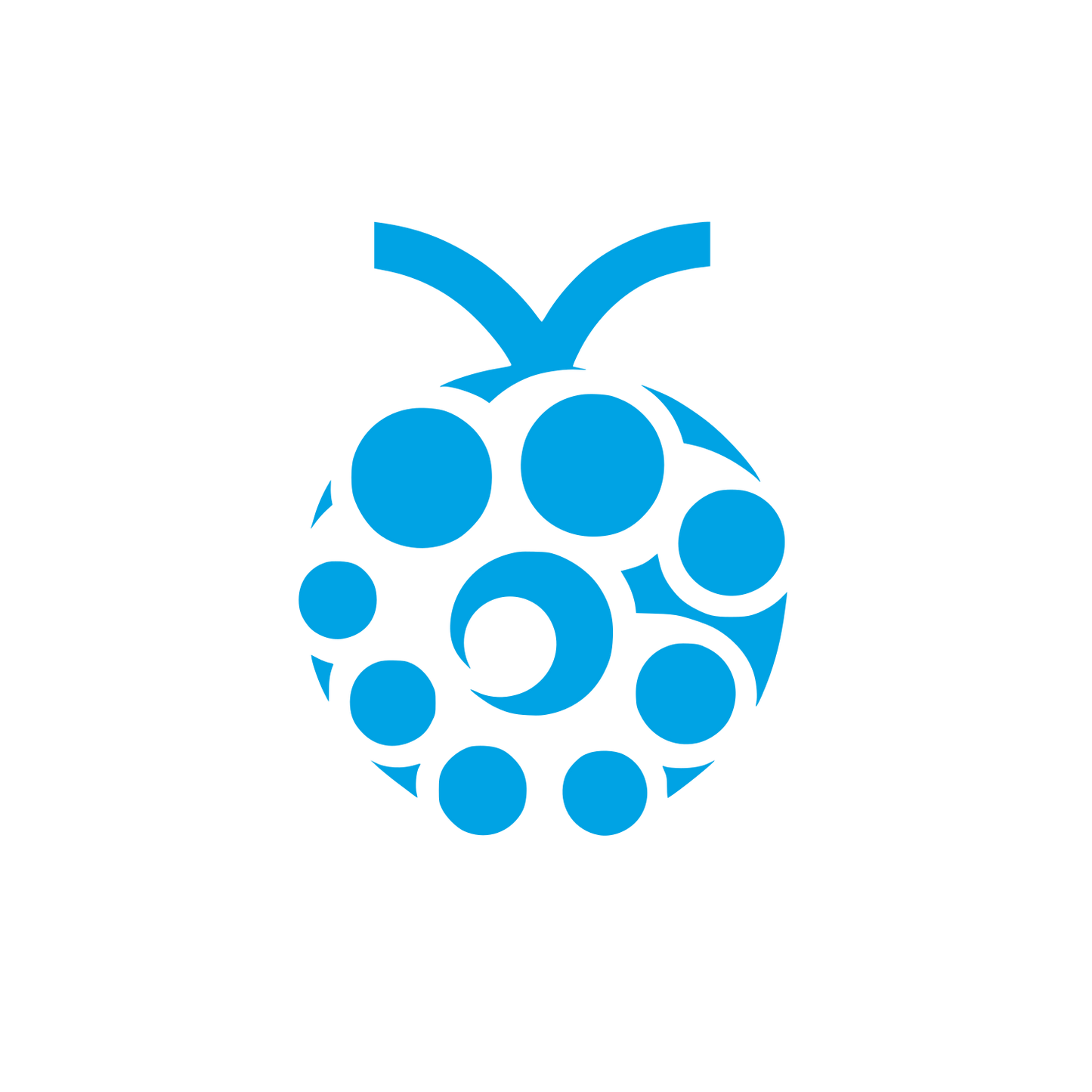 Raspberry Fruit Badge Icon #00a3e4