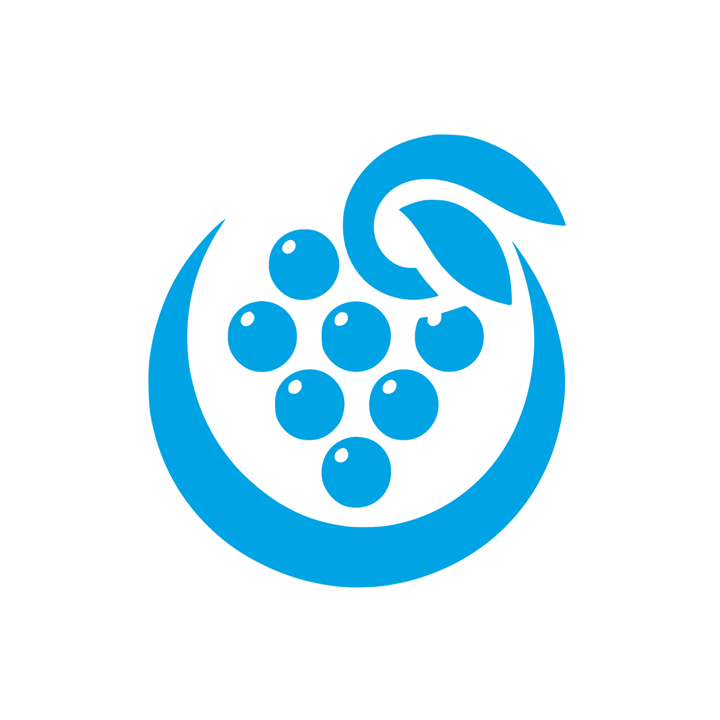 Grape Cluster Logo #00a3e4