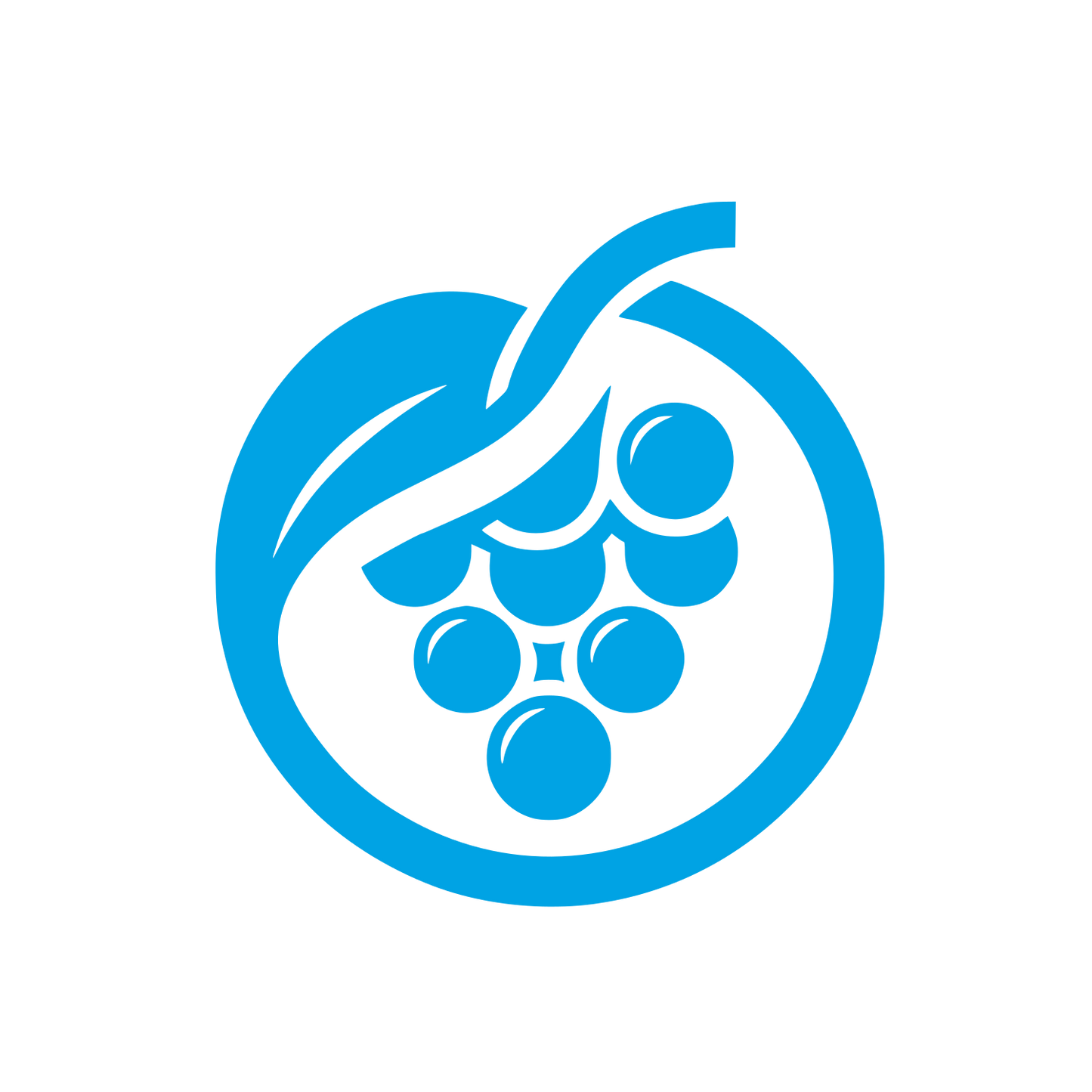 Grapes Logo Design #00a3e4
