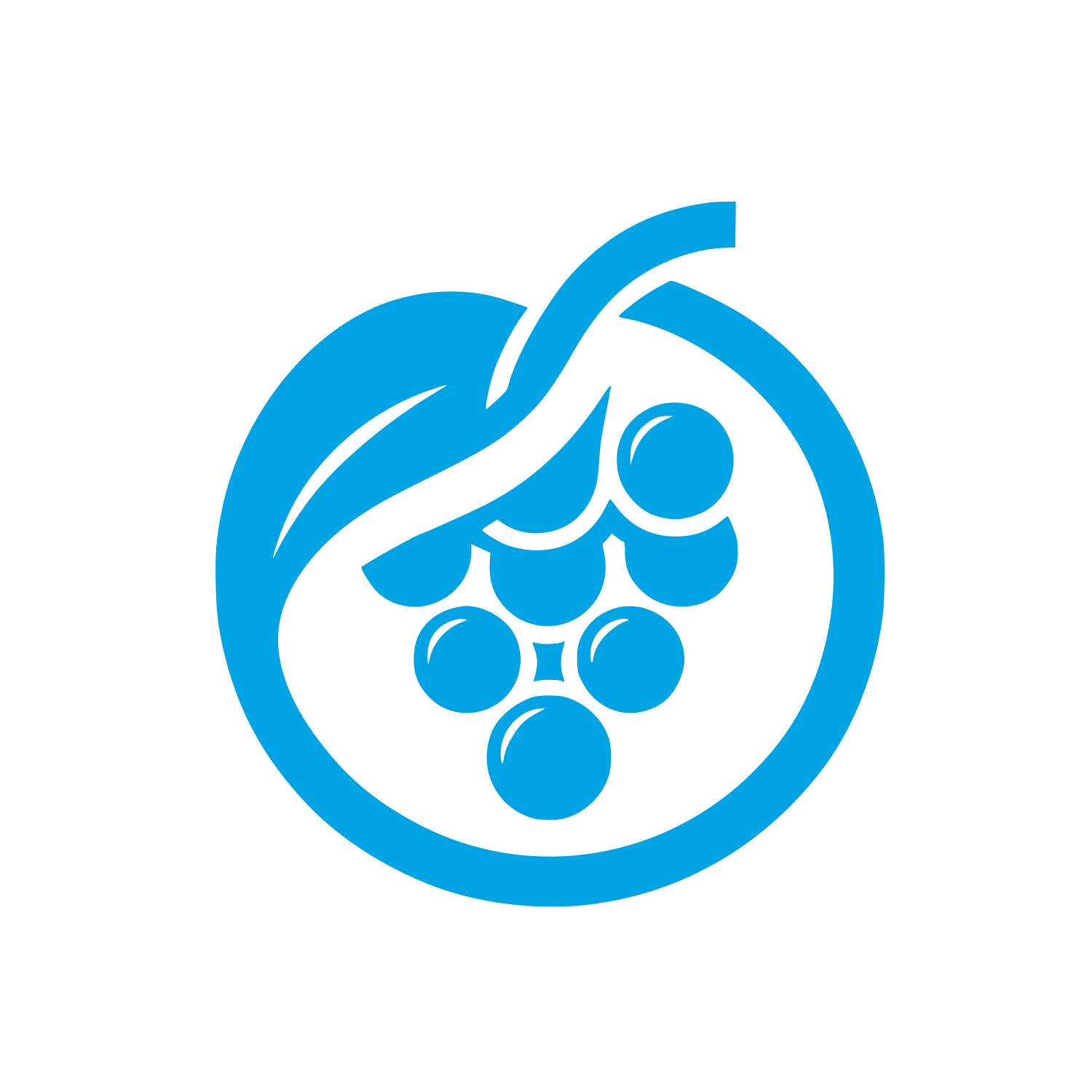 Grapes Logo Design #00a3e4