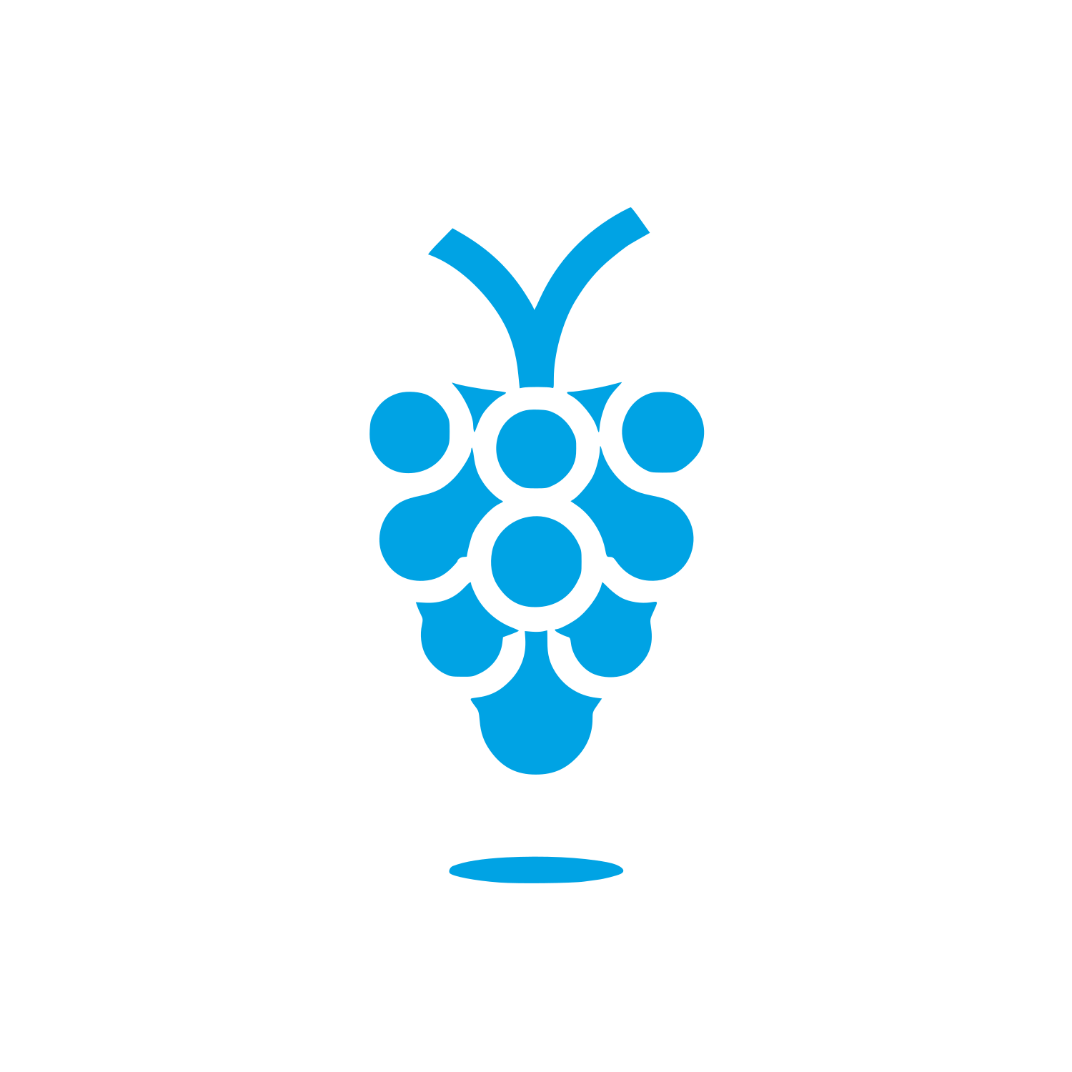 Grape Cluster Logo #00a3e4
