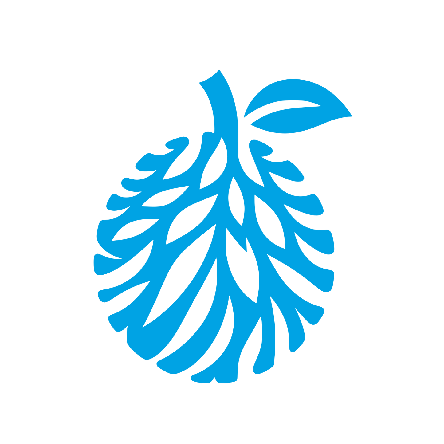 Leafy Logo Design #00a3e4