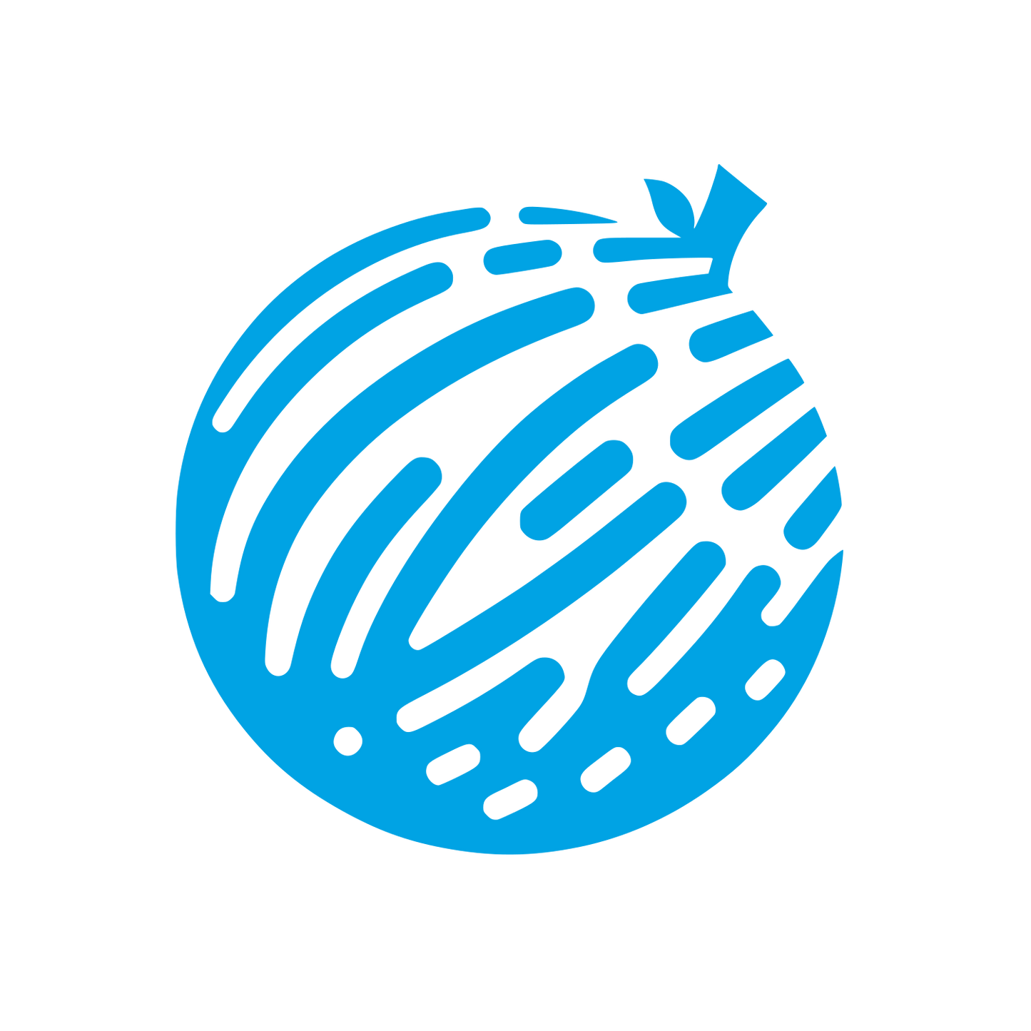 Jackfruit Bold Logo #00a3e4