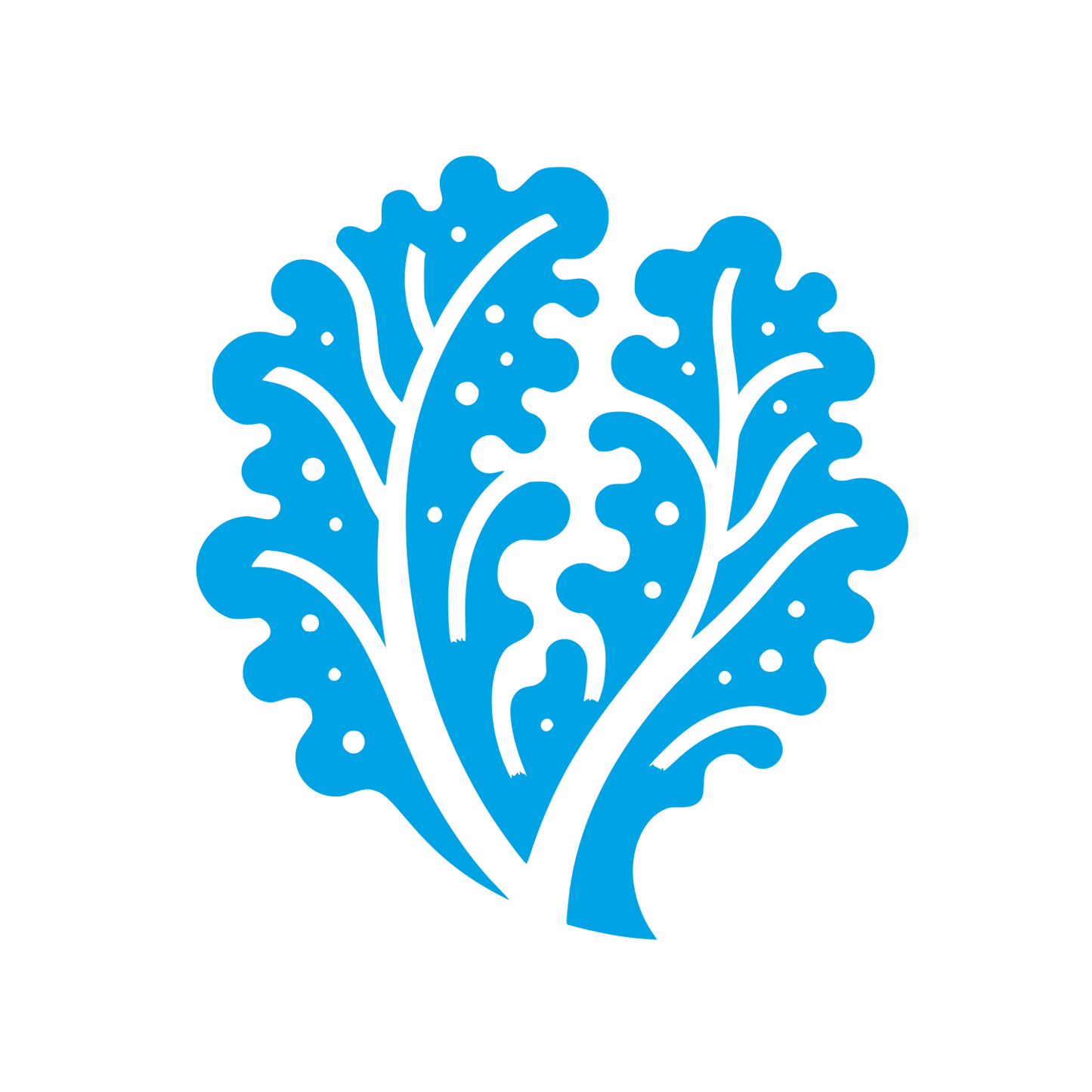 Leafy Organic Logo #00a3e4